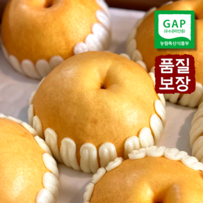 청원루 GAP인증 당도선별 나주 신고배 [가정용 / 선물용], 1개, 선물용 특대과 7.5kg