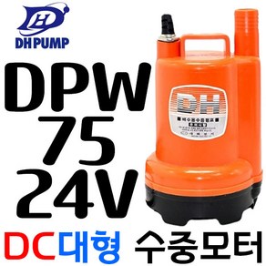 DPW75-24볼트 대화전기 비자동 DC배터리 배수용 수중펌프, 1개