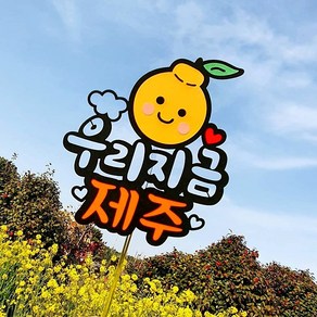 [아티파티토퍼] 하르방 & 한라봉 제주 여행 휴대편한 미니 사이즈 여행토퍼, 03.우리지금여기 [한라봉]