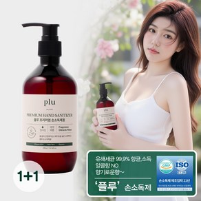 플루 프리미엄 손소독제겔, 300ml, 2개