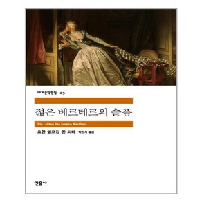 민음사 젊은 베르테르의 슬픔 (마스크제공), 단품