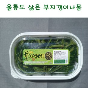 울릉도 삶은 부지갱이 나물 500g, 1개