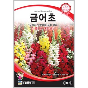 금어초 500립 /관상용 텃밭 키우기 꽃씨 종자 씨앗 snap dagon seeds + 서비스 씨앗 증정