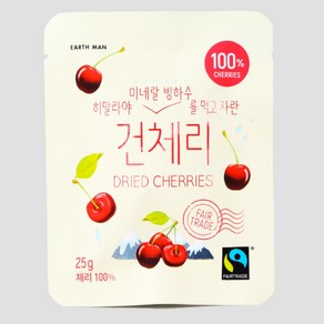 건체리 25g 공정무역 히말라야 빙하수를 먹고자란 말린체리 비건간식, 단품, 1개