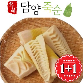 24년 국내산 담양 햇 죽순 삶은죽순 생죽순 대나무순 냉동죽순 1kg 2kg 죽순요리, 1개