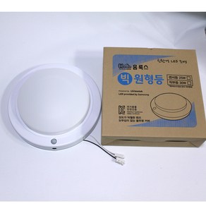 HRS LED 빅원형 센서등 25W 현관등 복도등 305mm 국산, 주광색(흰빛), 1개