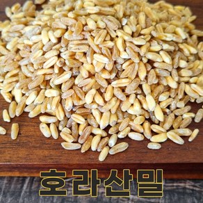 전남 무안 24년산 국산 호라산밀 4kg 카무트쌀 카뮤트