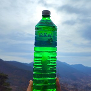 첫물 하동 지리산 고로쇠 수액, 6개, 1.5L