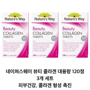 네이쳐스웨이 뷰티 콜라겐 120정 피부건강 콜라겐형성 촉진 Natue's Way Beauty Collagen 120 Tablets, 3개