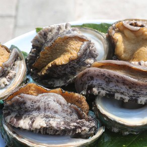 [우체국쇼핑]바다마을 완도특대활전복15-17미(1.5kg)선물포장 (마리당80g이상), 1개