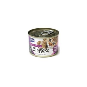 태비토퍼 참치의정석 연어맛 160g x 24개