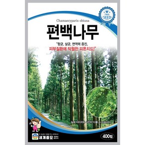 편백나무씨앗 400립 / 나무 종자 항균 살균 면역력 관상용 정원 마당 화단꾸미기, 1개