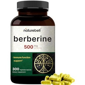 네이쳐벨 베르베린 효능 200mg+실론 계피 1000mg+강황 300mg (240캡슐), 300정, 1개