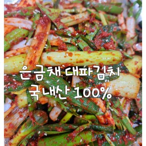 은금채 김치 전라도 대파김치 1kg