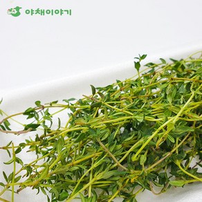 야채이야기 타임 100g 허브, 1개