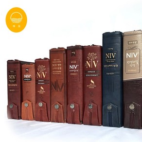 NIV 영어 영한 큰글자 큰글씨 스터디 해설 한영 성경 esv 성경책 단본