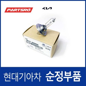 i40 살룬 순정 코너링 램프 H7 전구, 1개