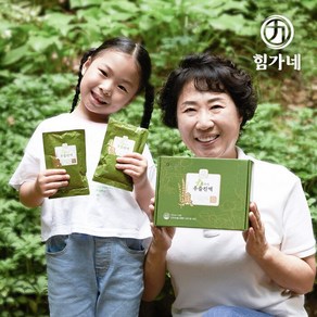 힘가네 힘가네 콘드로이친 우슬즙 1박스(100ml x 10개입), 1L, 1개