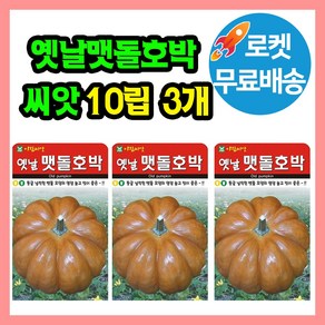 옛날맷돌 호박 씨앗 (합 30립) 호박씨 늙은호박 호박씨앗, 3개