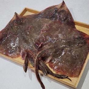 군산 생물 간재미 횟감 1.2kg, 1개