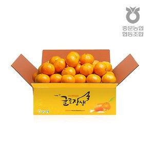 [제주 중문농협] 귤로장생 고당도 노지 조생감귤 로얄과 4.5kg 1개