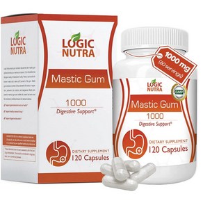 로직뉴트라 Logic Nuta 매스틱 검 Mastic Gum 1000 다이제스트 caps, 120정, 1개