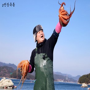 통영 문어 산지직송 자연산 돌문어 문어 제수용문어 2kg (1-4미), 1개