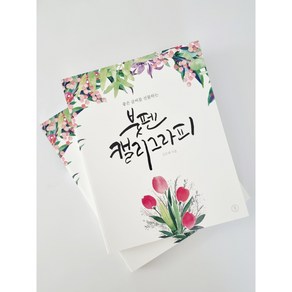 캘리그라피 독학연습책 좋은글씨를 선물하는 붓펜캘리그라피