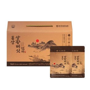 [풍기인삼농협] 황풍정 홍삼 상황버섯 진액 70ml x 30포, 1개