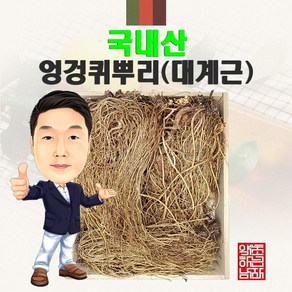 국내산 엉겅퀴뿌리(대계근) 500g (경북 영천) 국산