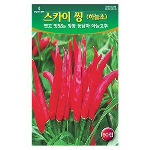 동남아 하늘 스카이씽 고추 씨앗 고추씨 50립, 1개