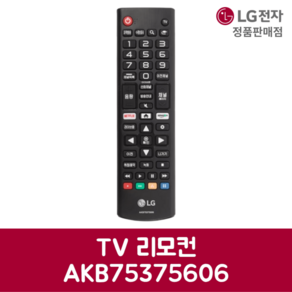 LG전자 엘지 정품 TV 리모컨 AKB75375606, 기본선택, 1개