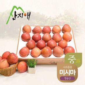 [산지애] 알뜰 못난이사과(중과) 4.5kg 1box / 당도선별 청송산 미시마, 1