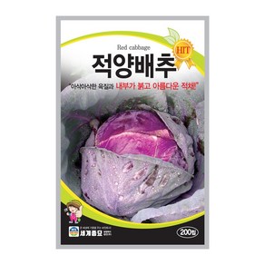 적양배추씨앗 배추 씨앗 양배추 씨앗 종자 200알, 1개