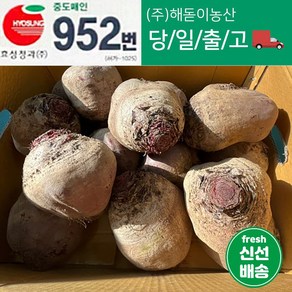 해돋이농산 제주 레드비트 비트 10kg 내외, 1박스, 10kg내외