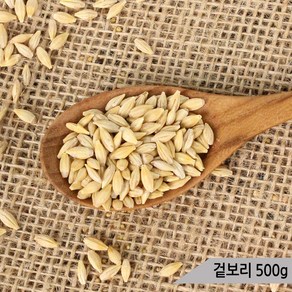 건강알곡 겉보리 500g 앵무새 햄스터 모이 간식 사료, 1개