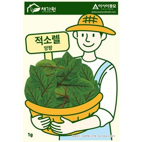 아시아종묘 씨앗 허브 적소렐 1g, 1개