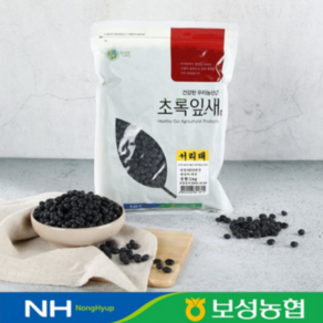 보성농협 국산 서리태 검은콩 1kg 2024년산, 1개