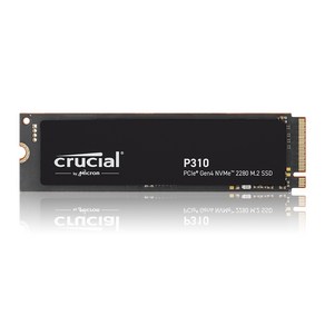 마이크론 Cucial P310 M.2 NVMe 아스크텍, 1TB