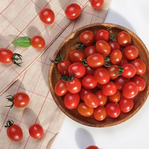 고당도 스테비아 대추 방울토마토