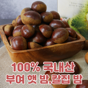 100% 국내산 충주 공주 부여 햇 밤 칼집 밤 특 대 1kg, 일반(특)1kg, 1개