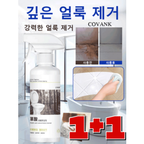 1+1 옥살산세정제 타일 강력세정 변기세정 외벽 화장실 세정제 용액 유리세정제 홈스타욕실세정제, [1+1]