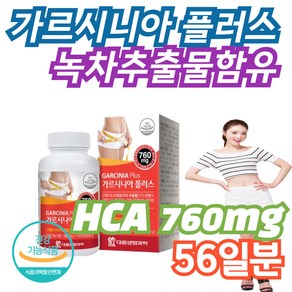 가르니시아 HCA 760mg 추출물 인도산 식약처 인정 112정