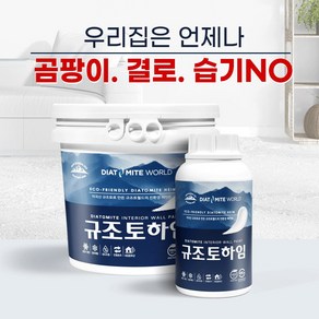 규조토하임 페인트타입 10Kg (색상선택) 결로방지페인트 베란다 벽지 친환경 단열 곰팡이방지페인트, 푸른하늘B, 1개