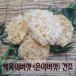 백목이버섯 은이버섯 건조 1kg, 1개