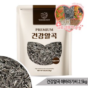 대용량 건강알곡 해바라기씨 2.5kg 소동물 앵무새간식, 1개