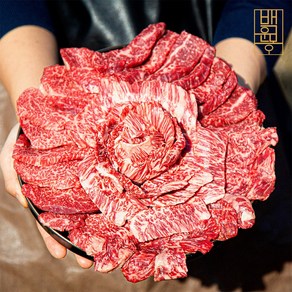 [백운몽] 1++한우 투뿔 특수부위 모둠 구이세트 600g/1kg, 1++한우 특수부위 모둠1kg, 1세트