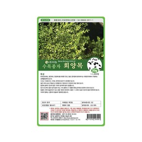 (DN) 회양목 씨앗(20g)