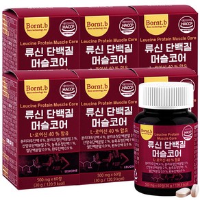 본트비 류신 단백질 타블렛 아미노산 BCAA 머슬코어 30g, 60정, 6개