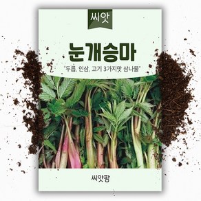 씨앗팜 눈개승마씨앗 (1g) - 삼나물 종자